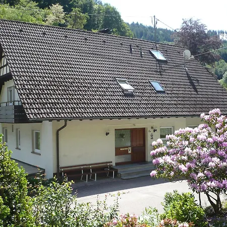 Ferienwohnung Haus Maier Oppenau Exterior foto