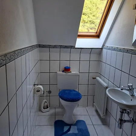 Ferienwohnung Haus Maier Oppenau Exterior foto