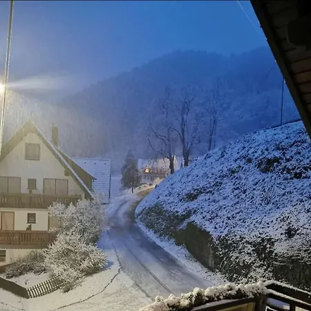 Ferienwohnung Haus Maier Oppenau Exterior foto